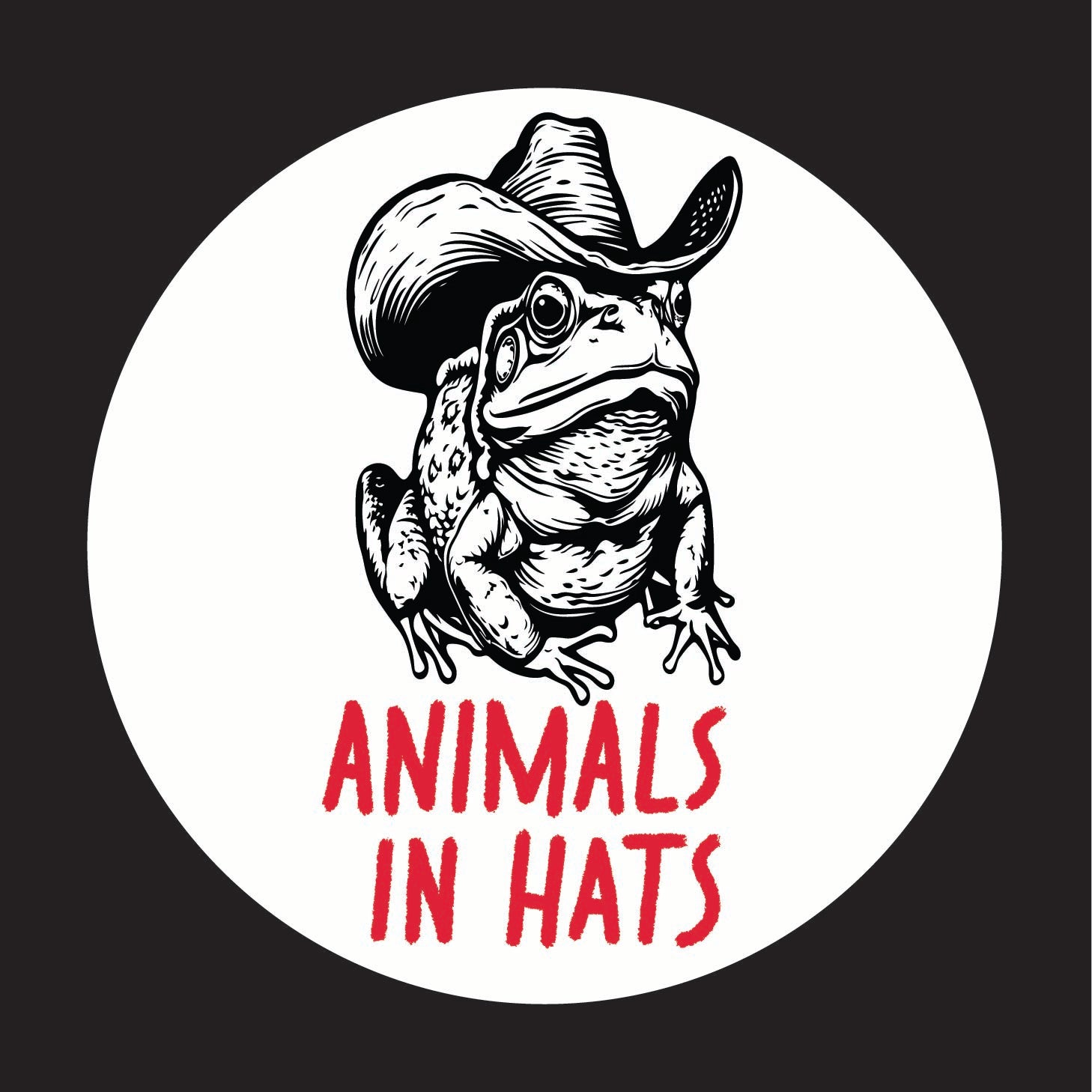 Animals In Hats