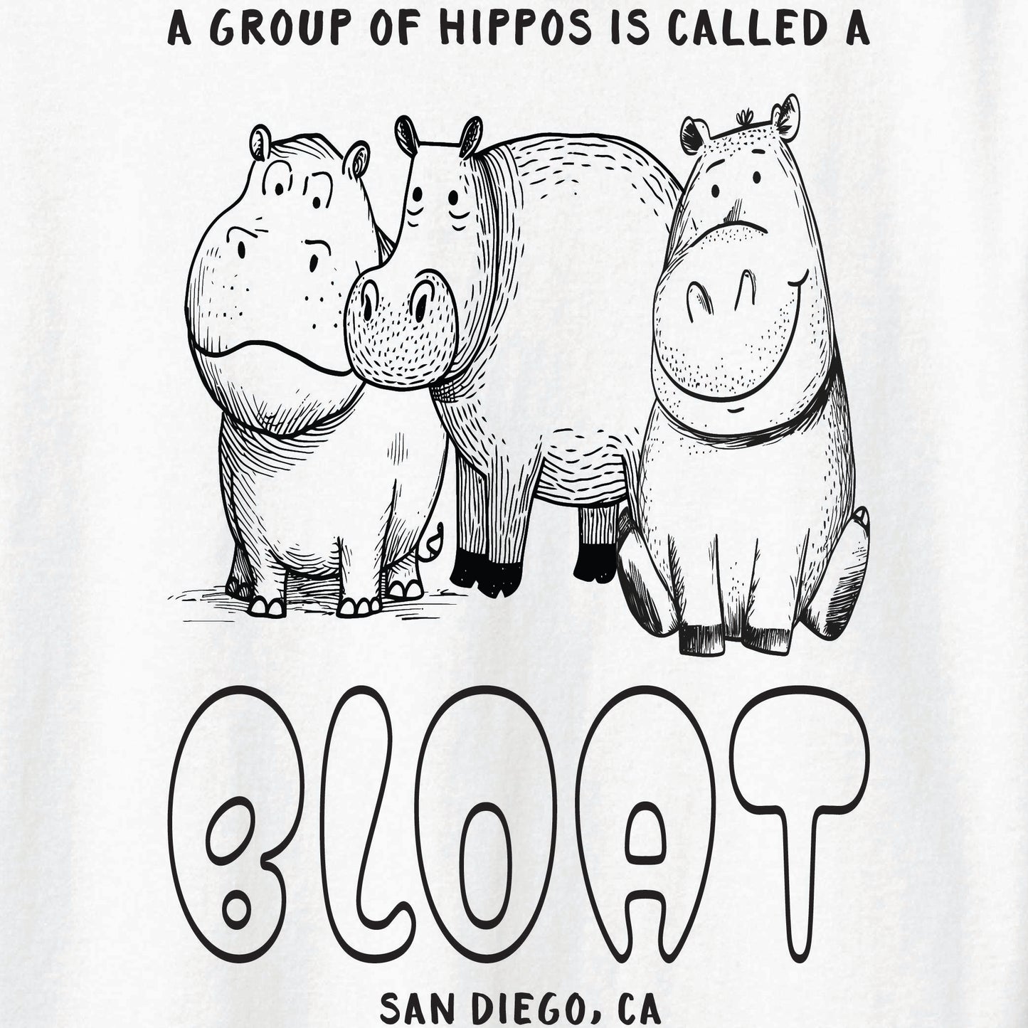 ST-HIPPO-01