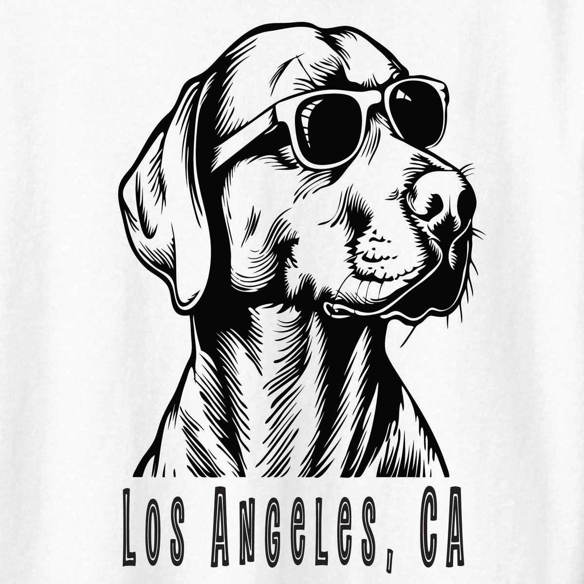 ST-DOG-03