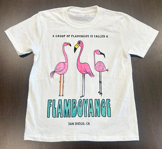 ST-FLAMINGO-01
