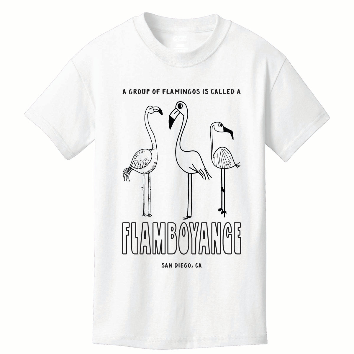 ST-FLAMINGO-01