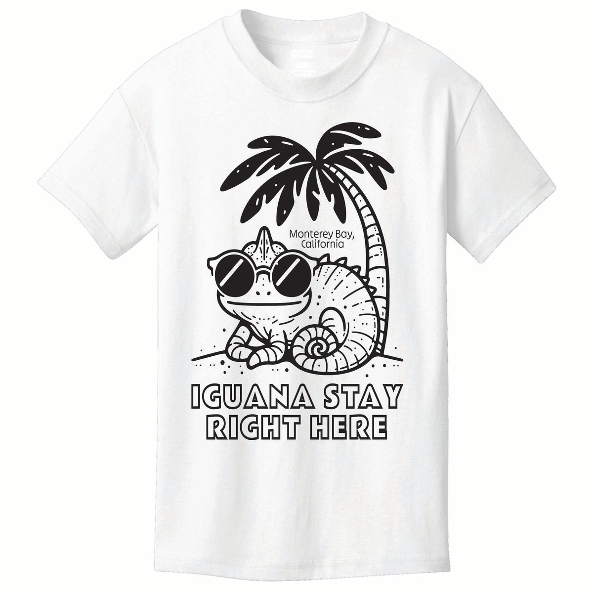 ST-IGUANA-01