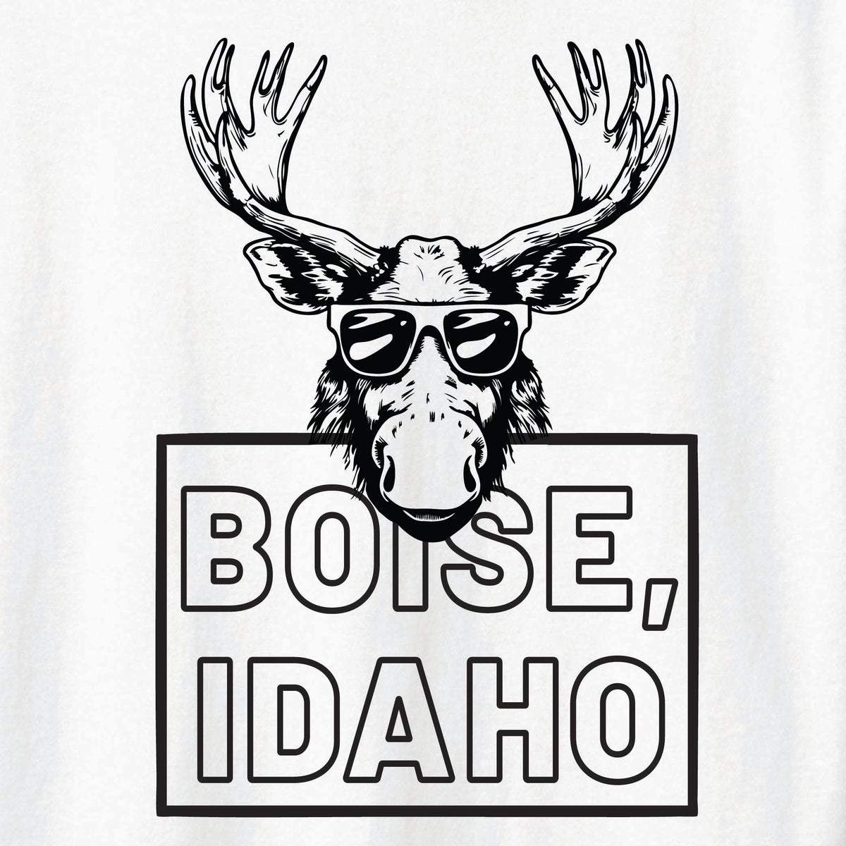 ST-MOOSE-01
