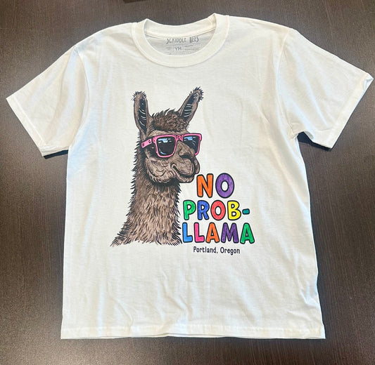 ST-LLAMA-01
