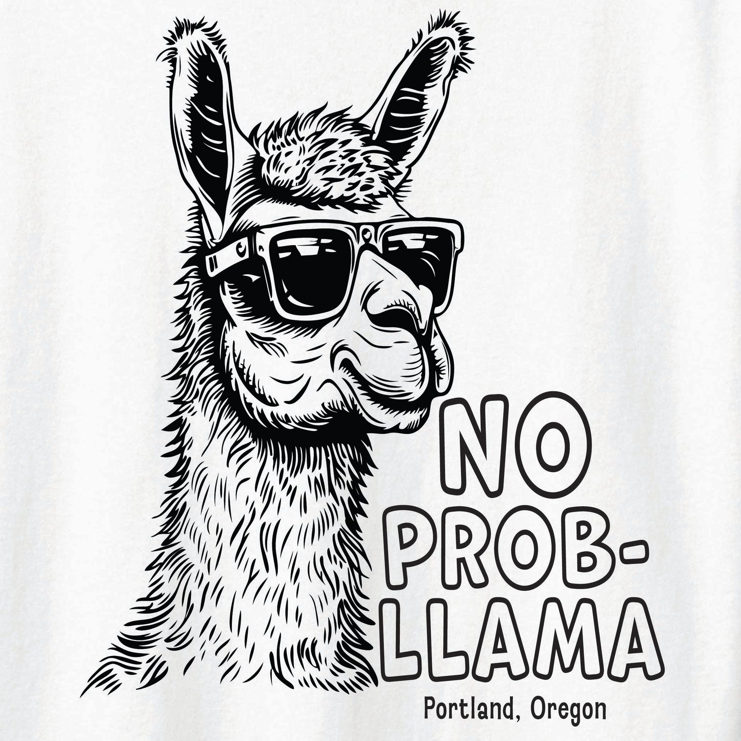 ST-LLAMA-01
