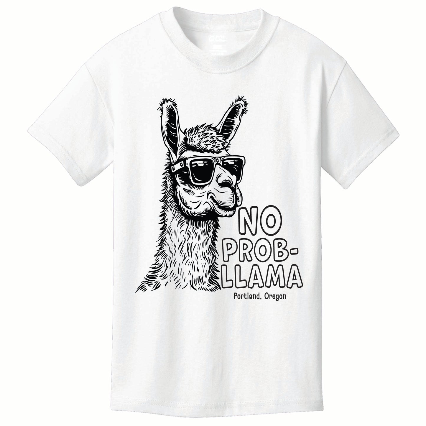 ST-LLAMA-01