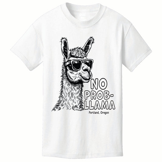 ST-LLAMA-01