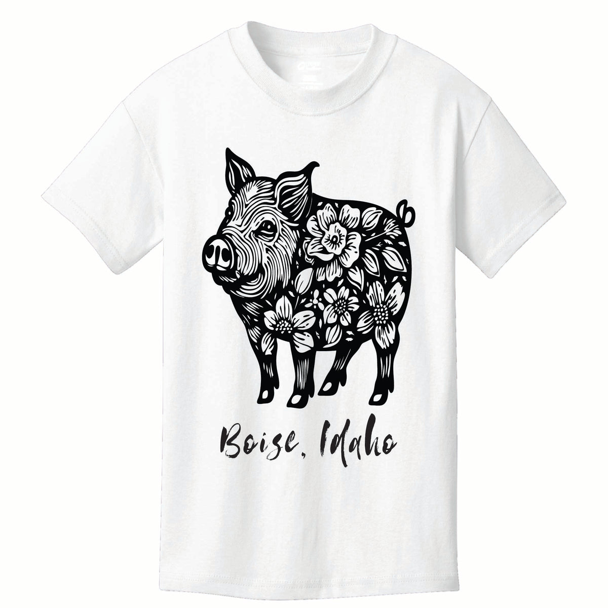 ST-PIG-01