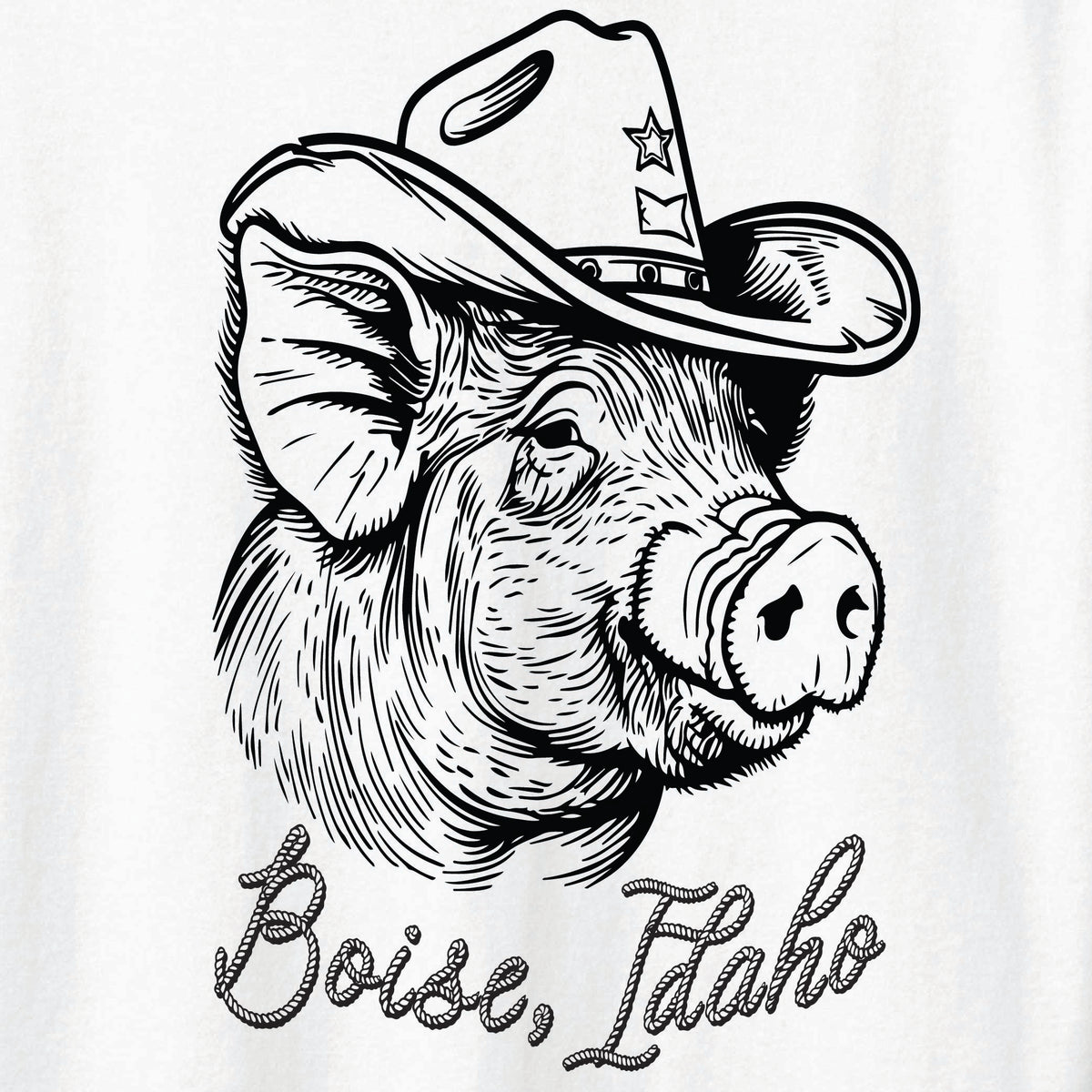 ST-PIG-02