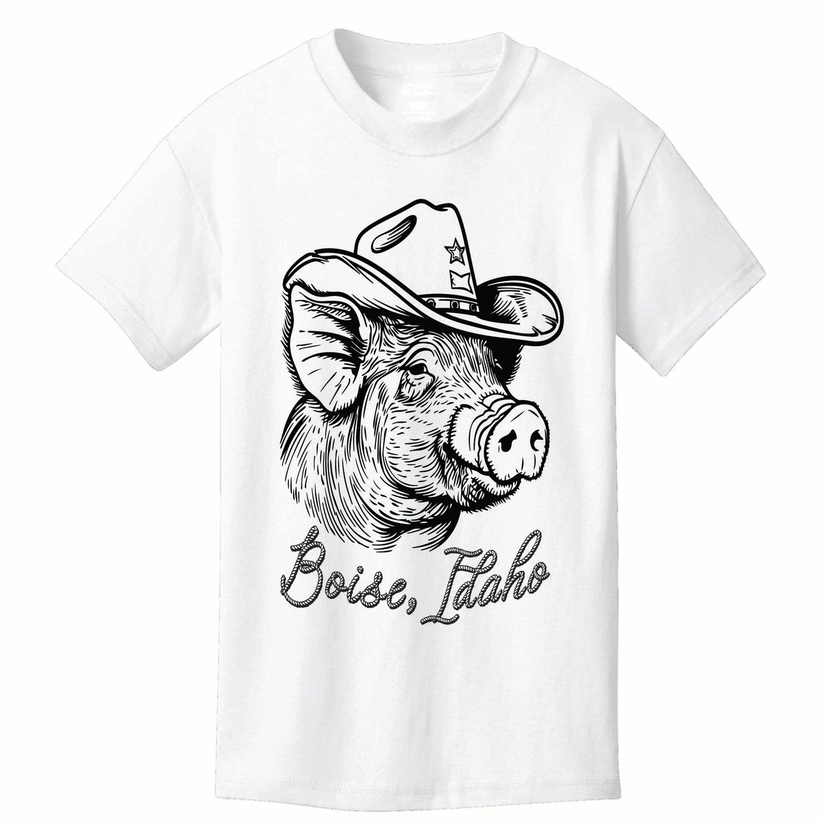 ST-PIG-02
