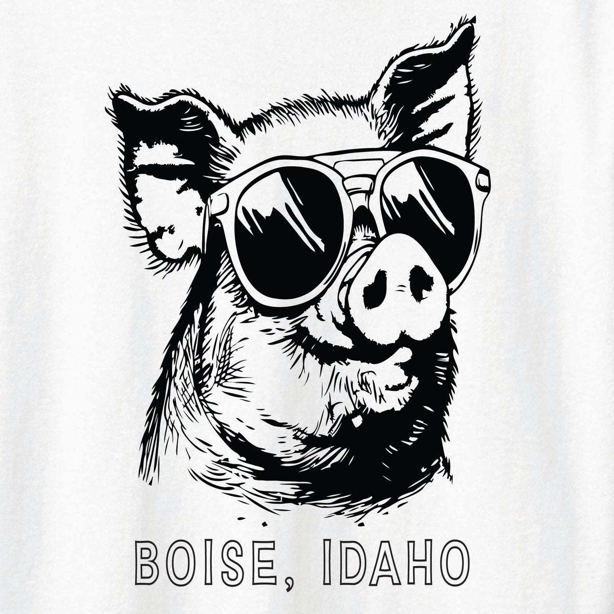 ST-PIG-03