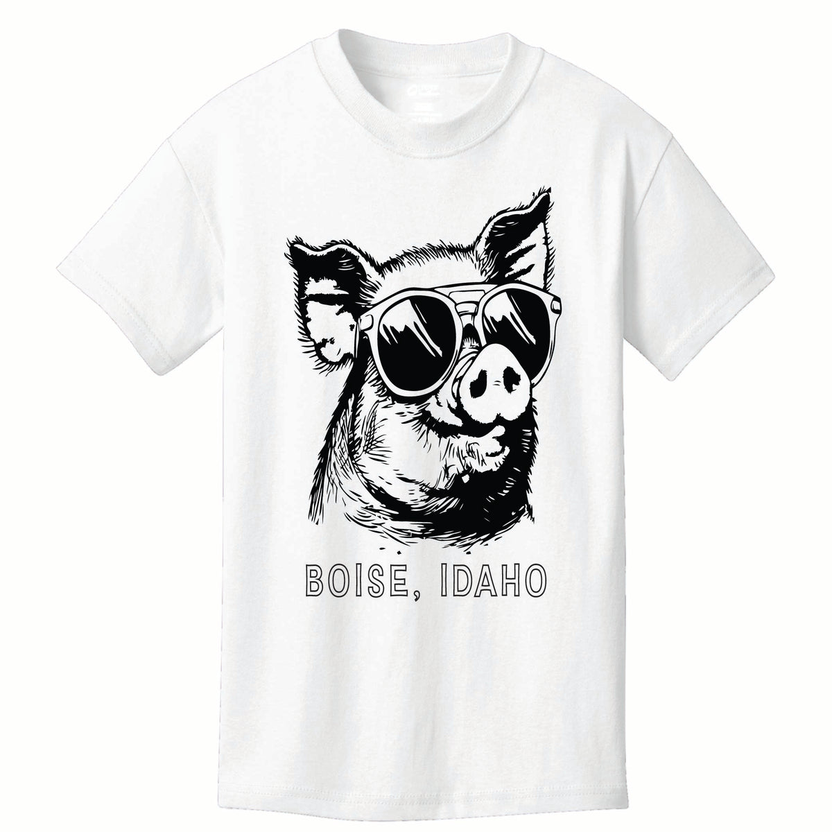 ST-PIG-03
