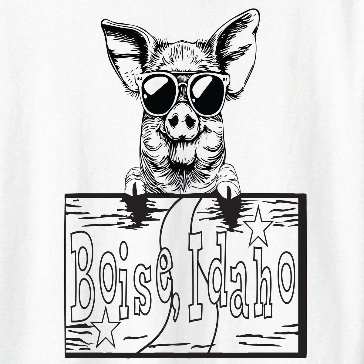 ST-PIG-04