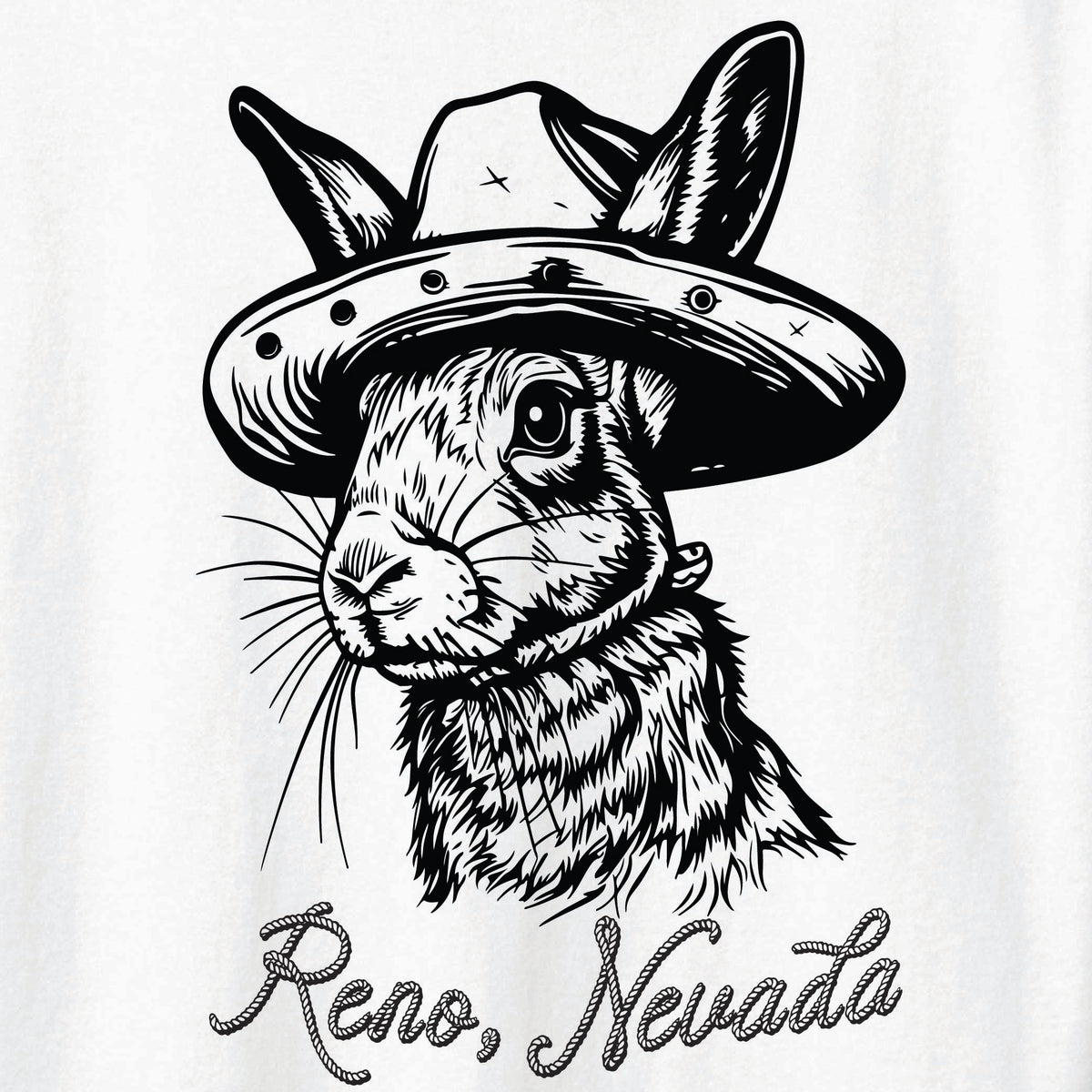 ST-RABBIT-02