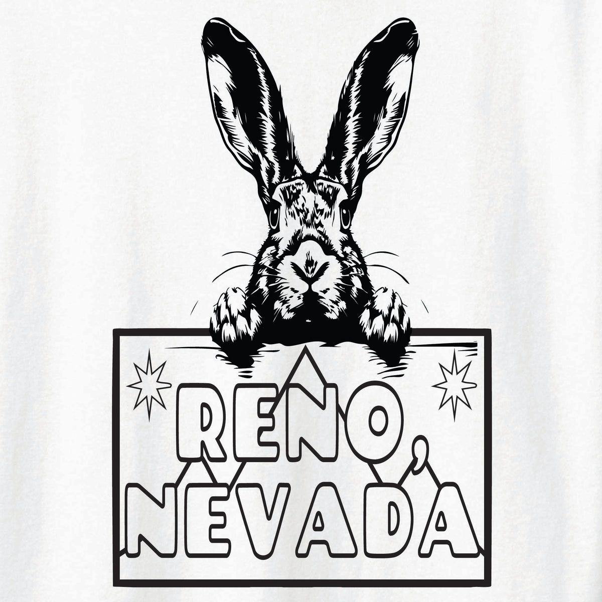 ST-RABBIT-04