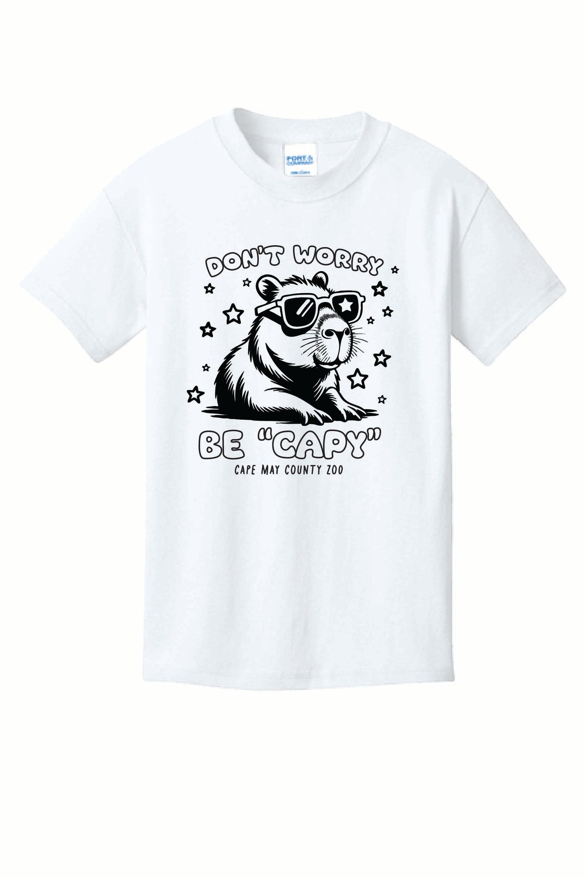 ST-CAPYBARA-01