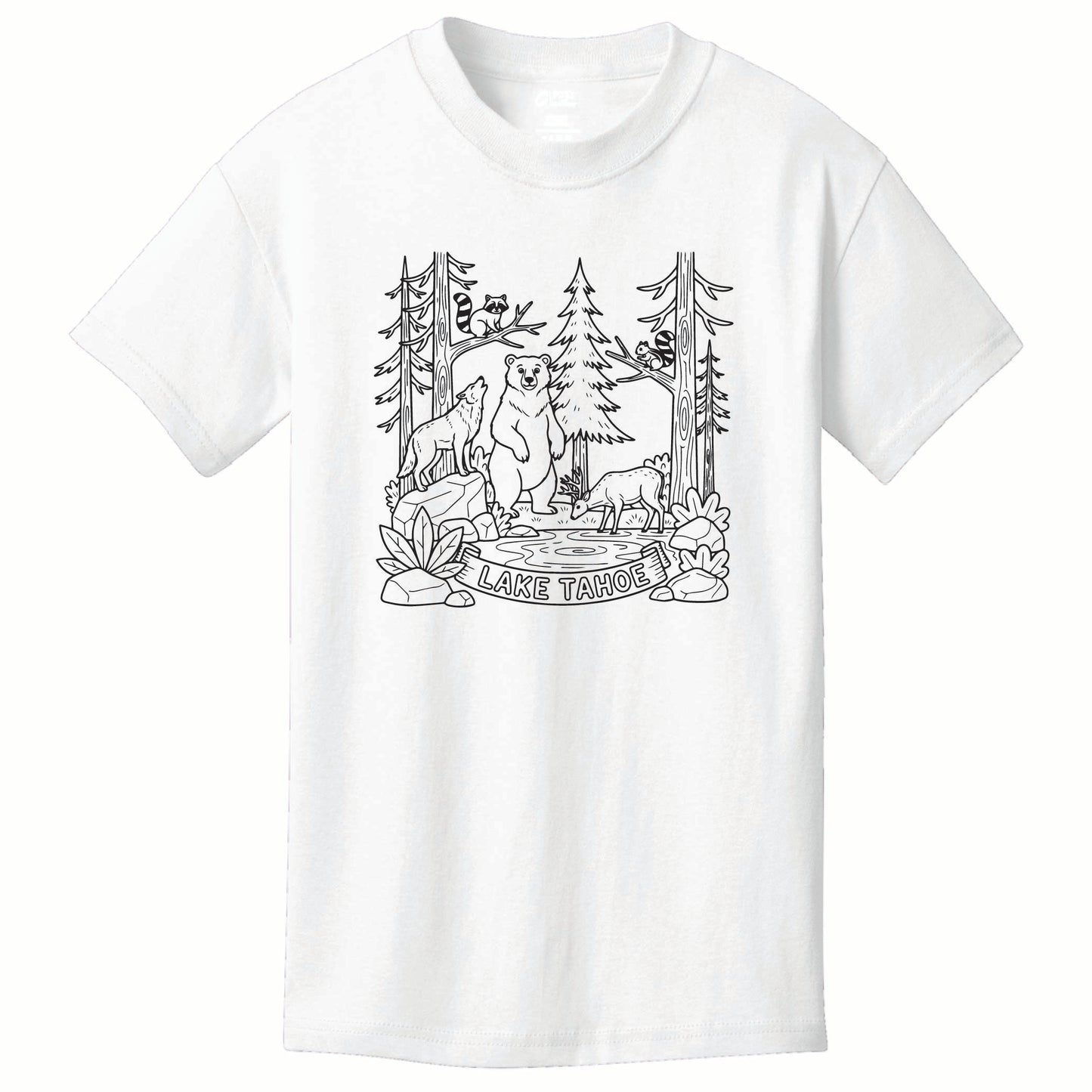 ST-FOREST-02