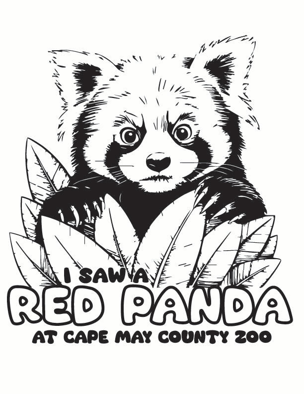 ST-RED PANDA-01