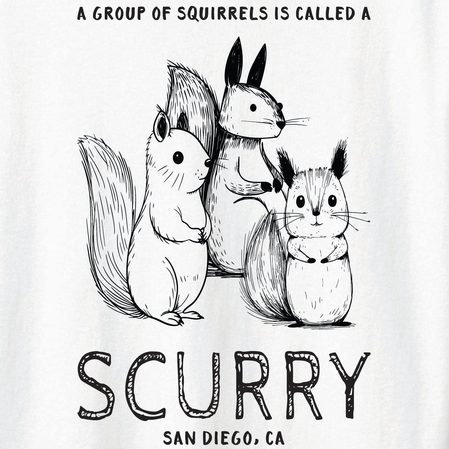 ST-SQUIRREL-01