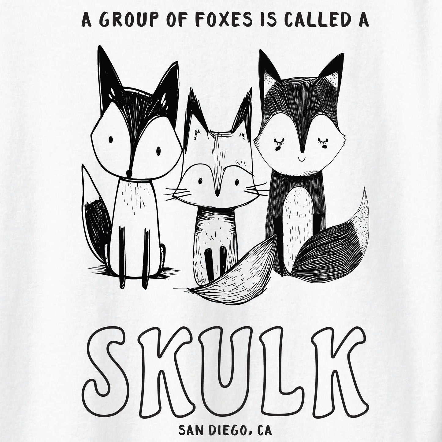 ST-FOX-01