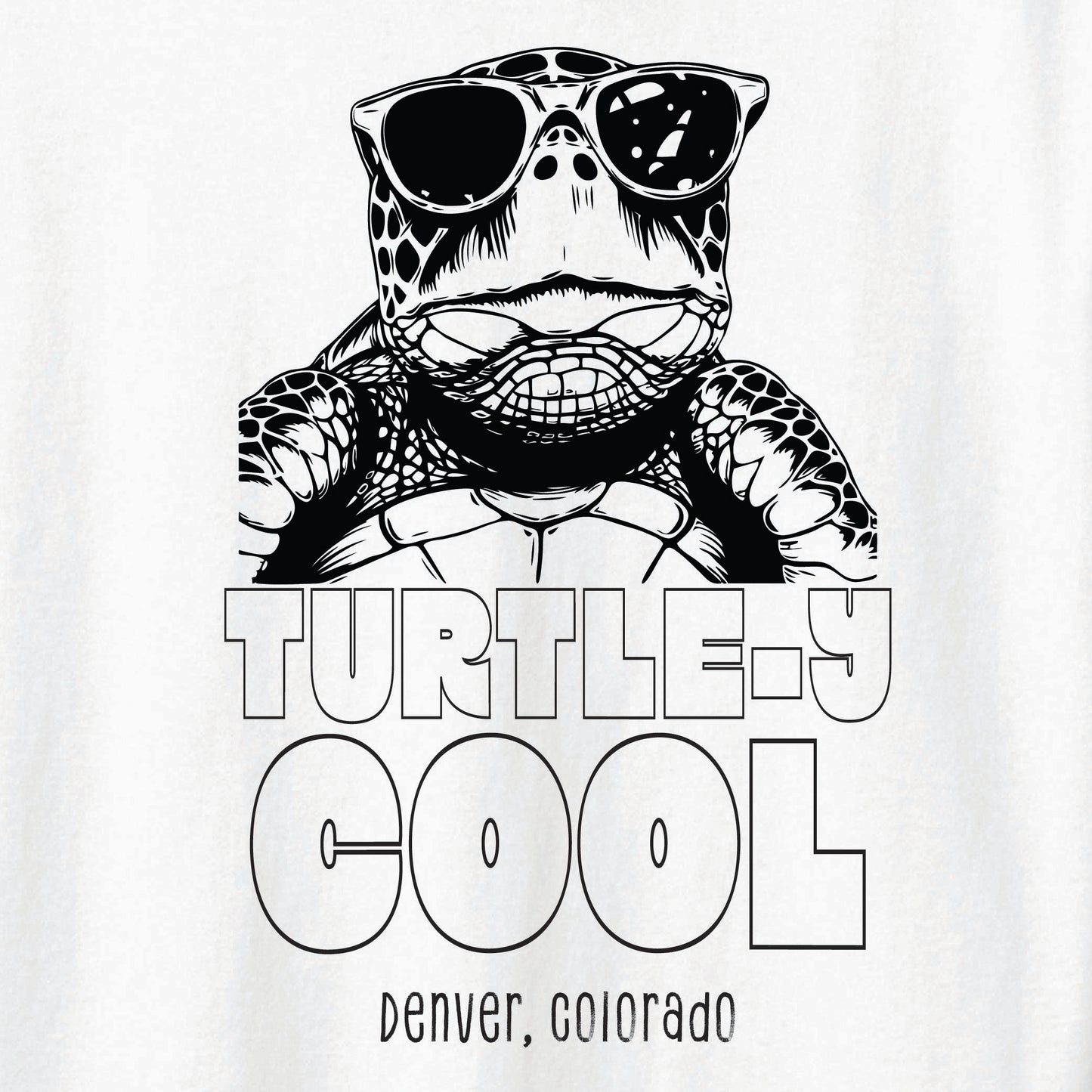 ST-TURTLE-02