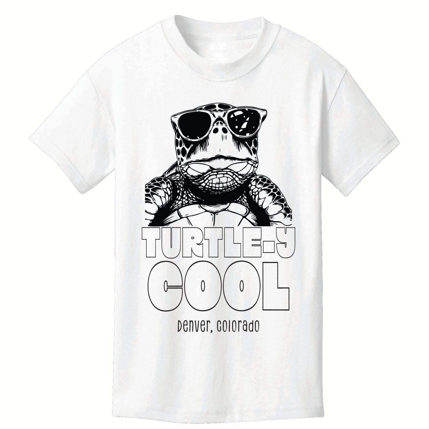 ST-TURTLE-02