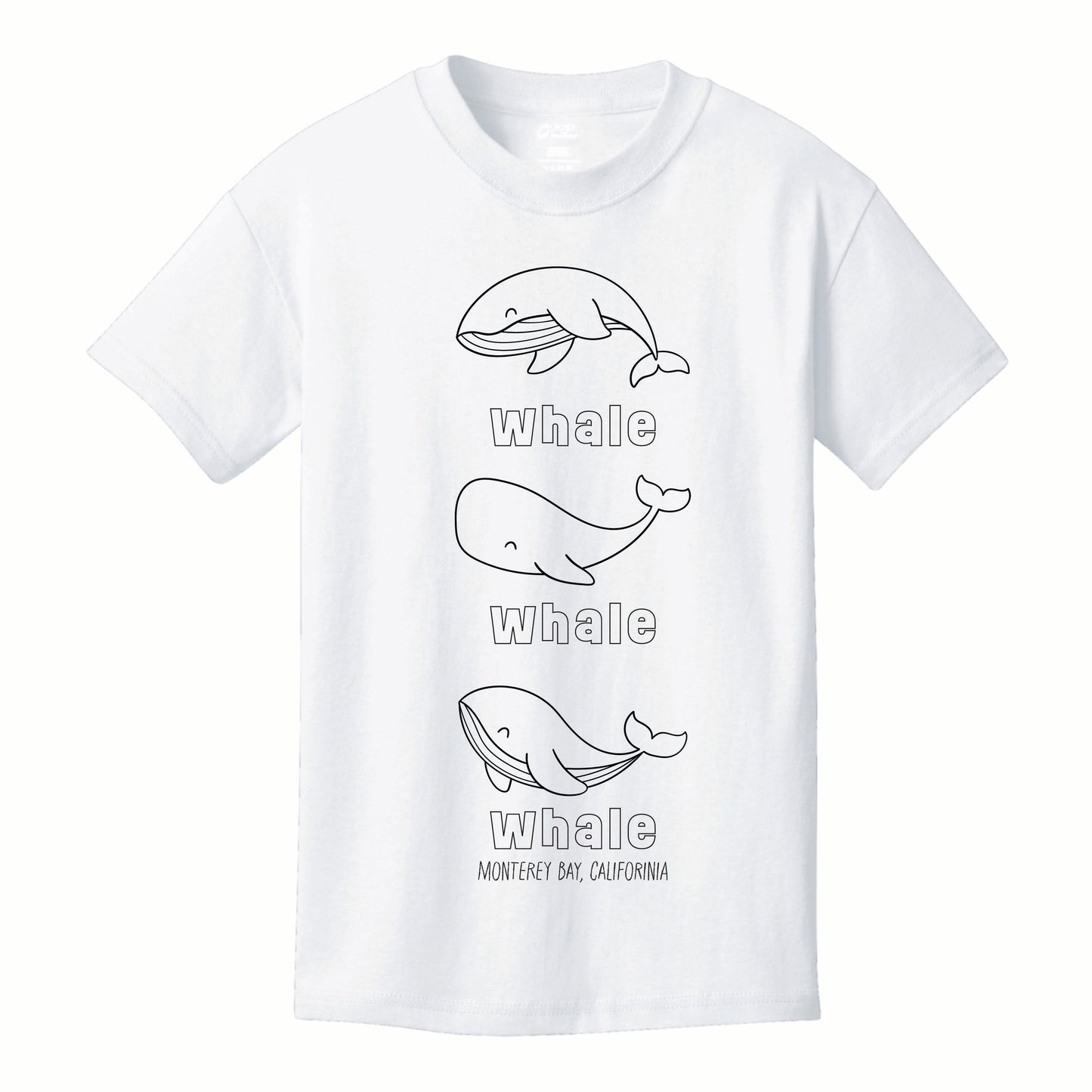 ST-WHALE-03