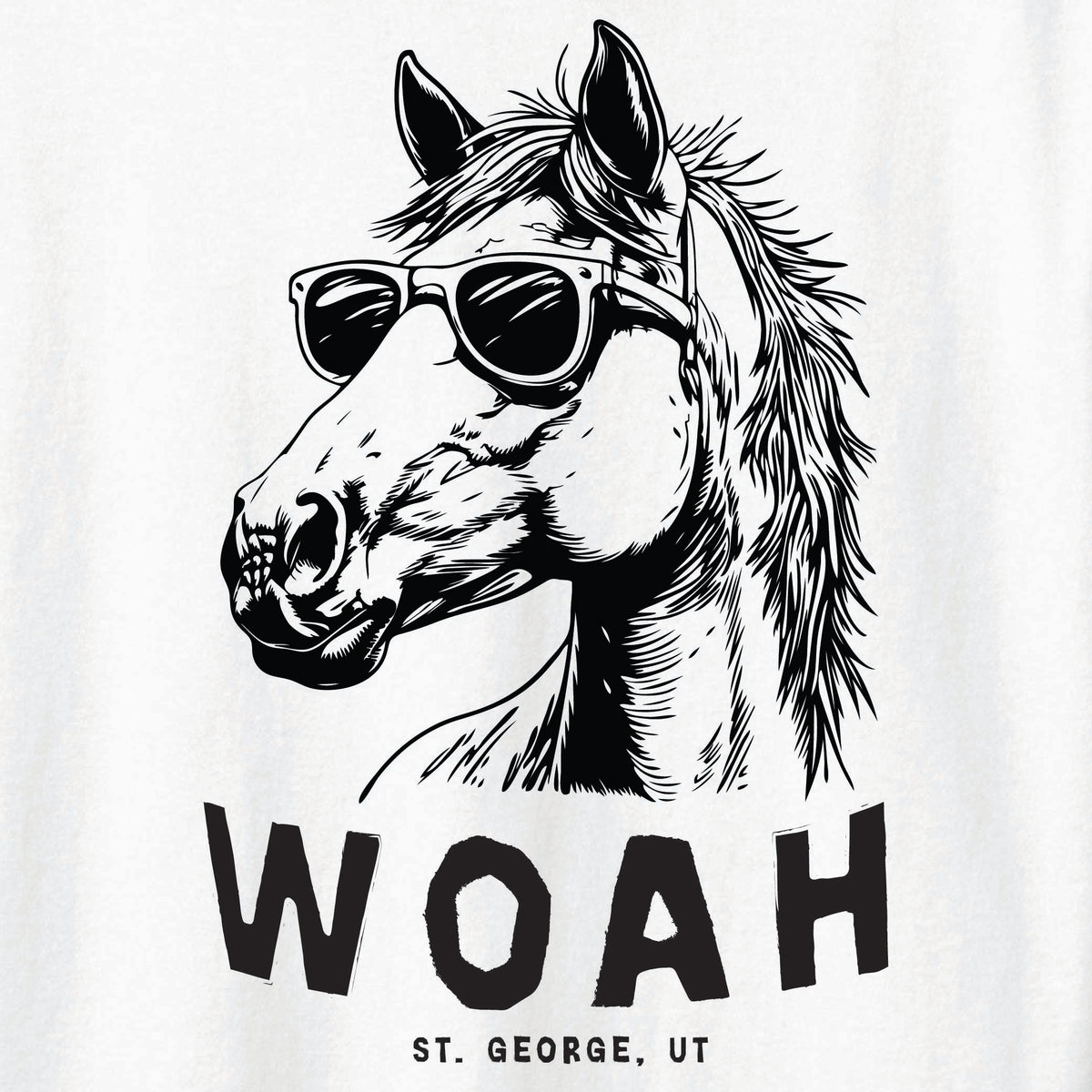 ST-HORSE-02